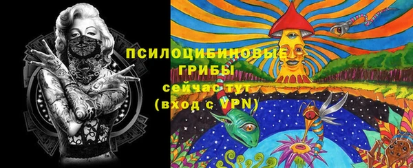 мет Бородино