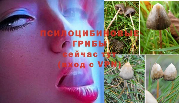 ешки Володарск
