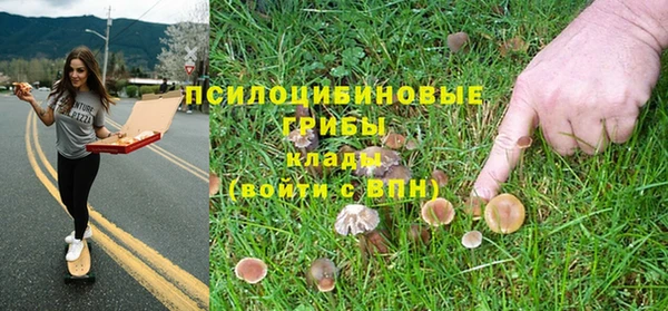 mdma Богородицк