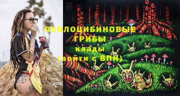 гашик Верхнеуральск