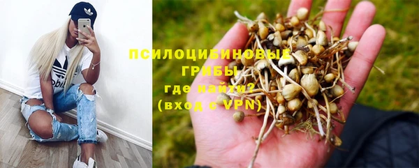 mdpv Волосово