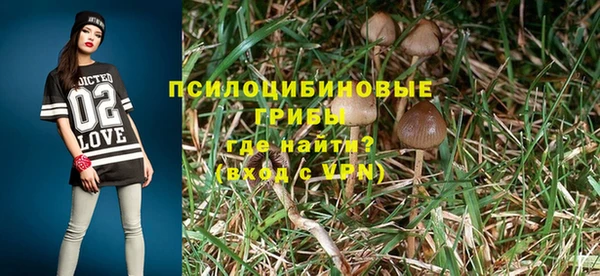 ешки Володарск