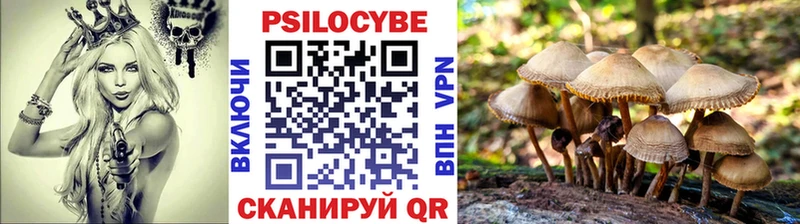 купить наркотик  hydra ССЫЛКА  Галлюциногенные грибы Psilocybe  Дагестанские Огни 